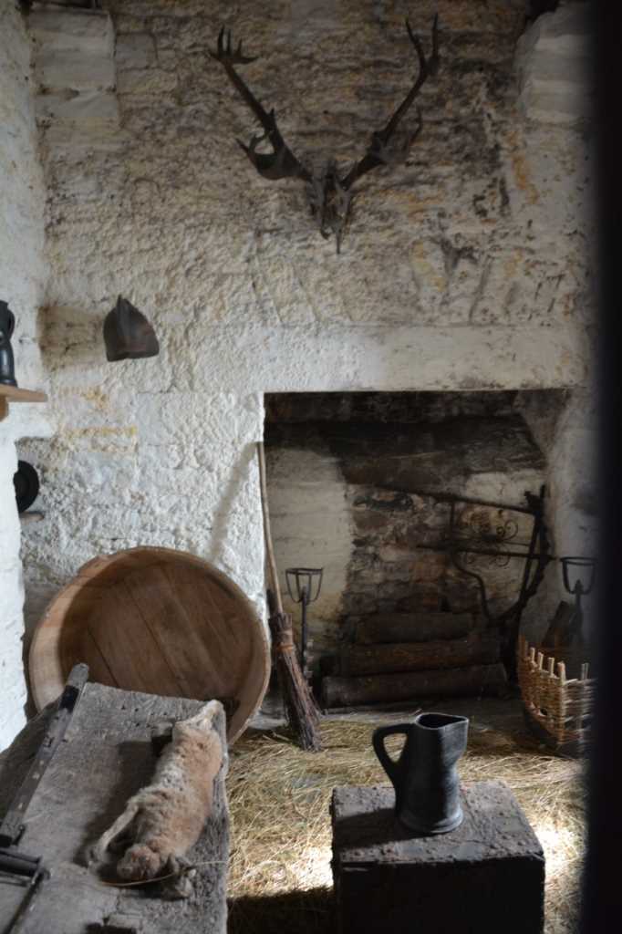 DSC_5497Mittel_.JPG